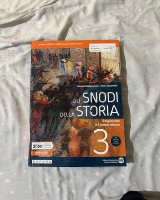 Gli snodi della storia 3