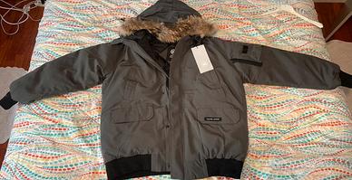 Canda goose - Grigio