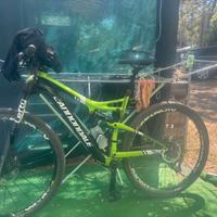 Bicicletta cannondale