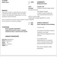 Cameriere, aiuto cantiere, tutto