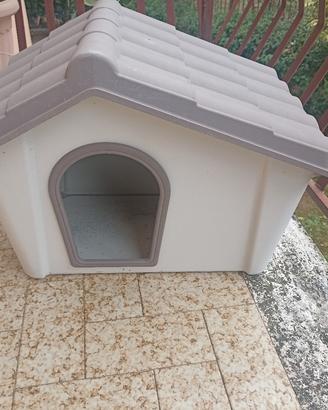 cuccia cane o gatto