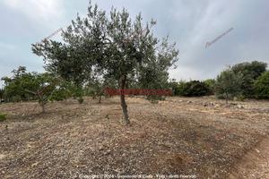 Terreno, Casteldaccia.