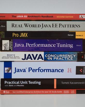 Libri programmazione Java | lingua inglese