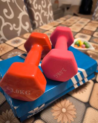 pesi per la palestra 