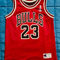Canotta champion bulls 23 jordan