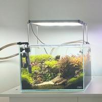 Acquario ADA 20lt