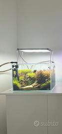 Acquario ADA 20lt