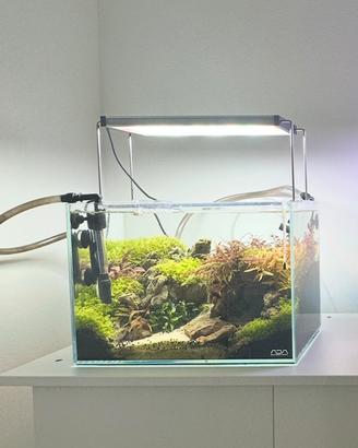 Acquario ADA 20lt