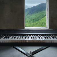 Pianoforte Korg B2 Supporto e Pedale. 