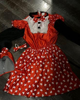 Vestito Carnevale bambina