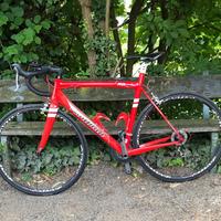 Bici da corsa Rodman