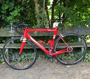 Bici da corsa Rodman