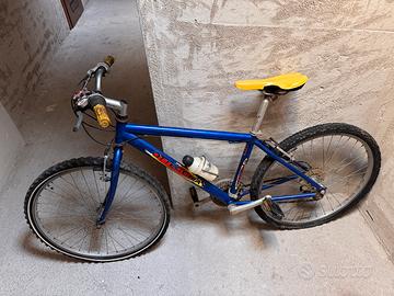 Bottecchia da sistemare