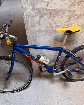 Bottecchia da sistemare