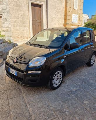 Fiat Panda 1.2 Benzina 69 cavalli Anno 2017