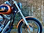 Immagine 11