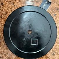 Due dischi da 10kg l’uno in cemento armato