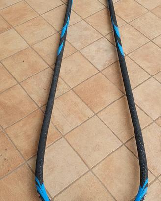 Attrezzatura Windsurf (Boma,Albero, Giubbino)