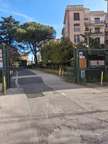 Via Domenico Fontana - Box in parco custodito