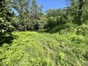 terreno-agricolo-nocera-superiore