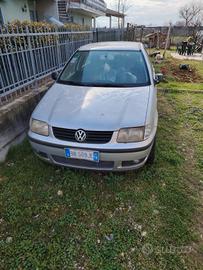 auto  polo 