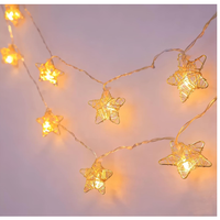 Filo di luci a stella dorata 1,5 m – 10 LED a batt