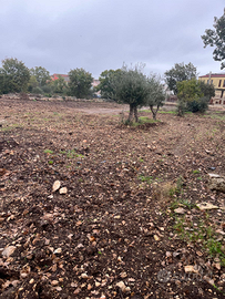 Terreno a Santeramo in Colle
