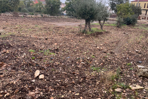 Terreno a Santeramo in Colle