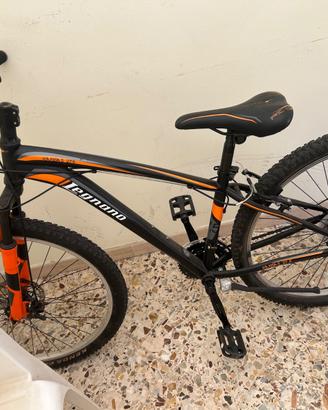 monte bike