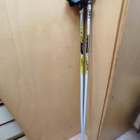 sci e bastoncini da skate