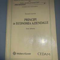 principi di economia aziendale