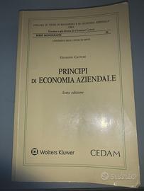 principi di economia aziendale