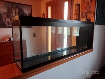 Acquario