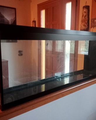 Acquario