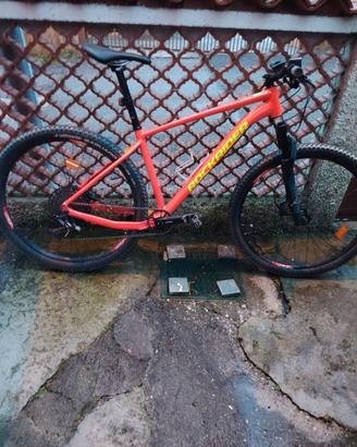 Bicicletta MTB Rockrider XC 120