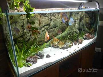 sfondo per acquario