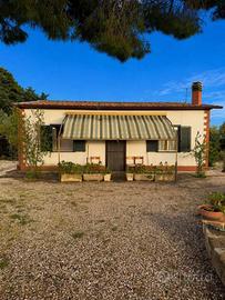 Casa indipendente di 100 m² con più di 5 locali a 
