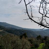 Terreno con rustico da ristrutturare Liguria