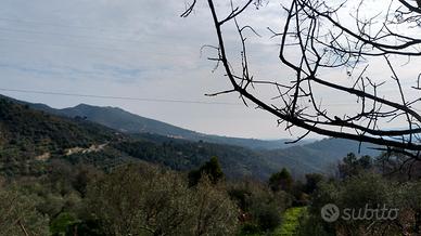 Terreno con rustico da ristrutturare Liguria