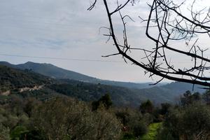 Terreno con rustico da ristrutturare Liguria