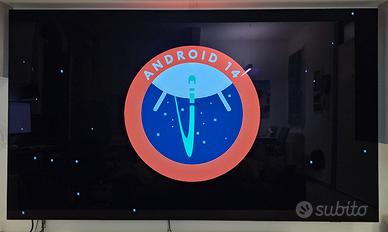 TV Philips OLED 77 819 Ambilight Garanzia