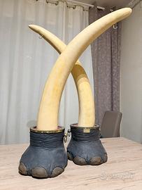 Riproduzione zanne elefante