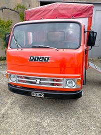 Om40 trasporto animali