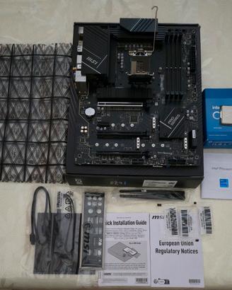 INTEL I5-13600KF +  MSI PRO Z790-P WIFI DDR5