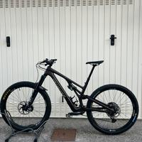 Stumpjumper evo carbon