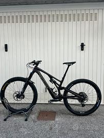 Stumpjumper evo carbon