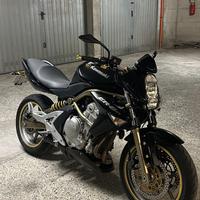 Kawasaki ER6N
