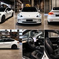 TESLA MODEL 3 performance