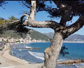 Bilocale con Balconata Fronte Mare 40mt spiaggia