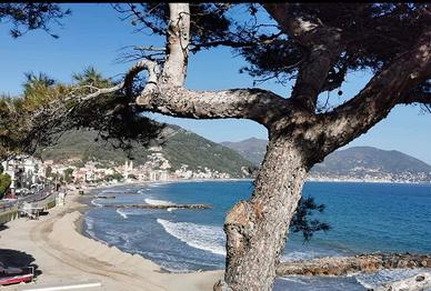 Bilocale con Balconata Fronte Mare 40mt spiaggia